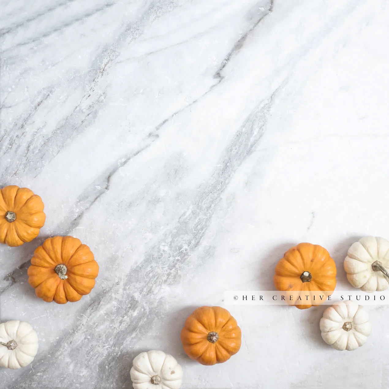 White & Orange Coloured Pumpkins