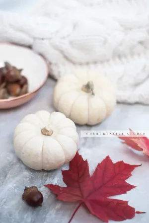 White Pumpkin & Maple Leaf on Marble