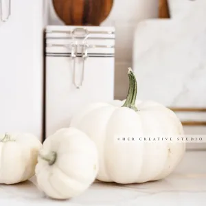 White Pumpkins in Kitchen. Digital Stock Image.